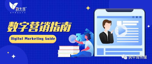 2020品牌数字广告跨屏投放策略全指南 从设计到执行的数字营销蓝图